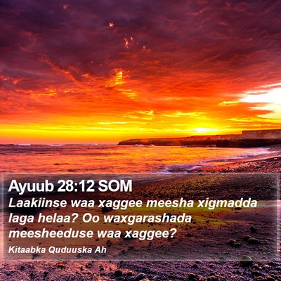 Ayuub 28:12 SOM Bible Verse Image