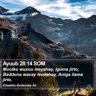 Ayuub 28:14 SOM Bible Verse Image