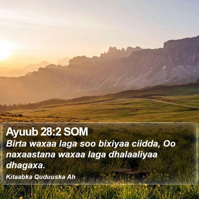 Ayuub 28:2 SOM Bible Verse Image