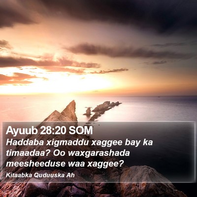 Ayuub 28:20 SOM Bible Verse Image