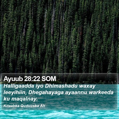 Ayuub 28:22 SOM Bible Verse Image