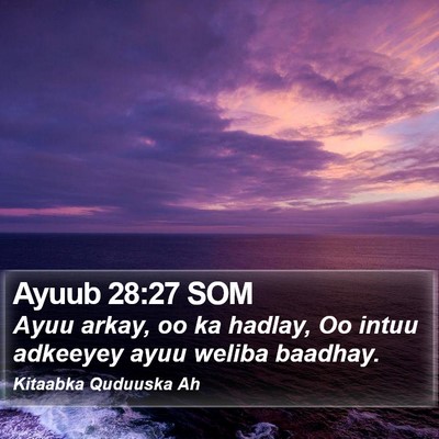 Ayuub 28:27 SOM Bible Verse Image