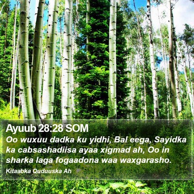 Ayuub 28:28 SOM Bible Verse Image
