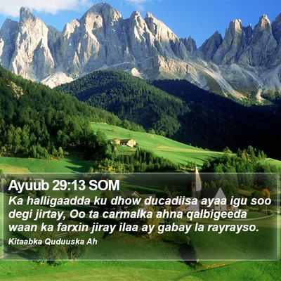 Ayuub 29:13 SOM Bible Verse Image