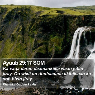 Ayuub 29:17 SOM Bible Verse Image
