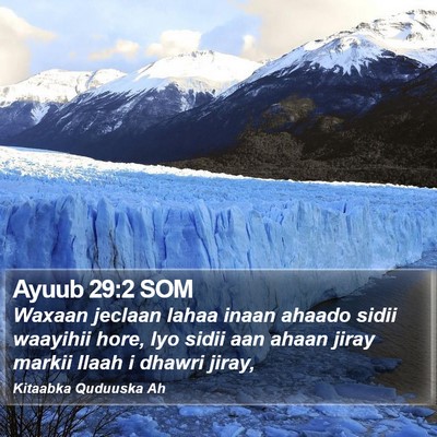 Ayuub 29:2 SOM Bible Verse Image