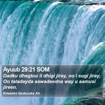 Ayuub 29:21 SOM Bible Verse Image