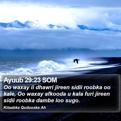 Ayuub 29:23 SOM Bible Verse Image