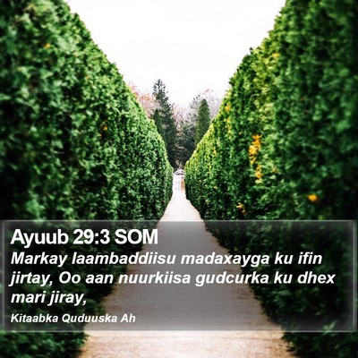Ayuub 29:3 SOM Bible Verse Image