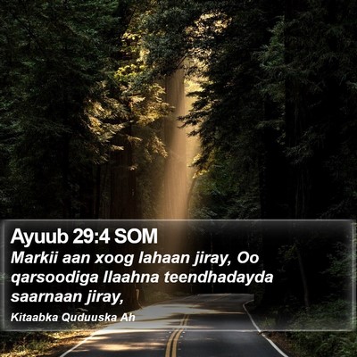 Ayuub 29:4 SOM Bible Verse Image