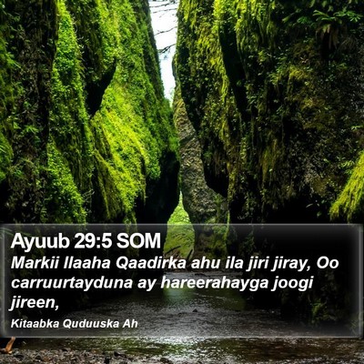 Ayuub 29:5 SOM Bible Verse Image