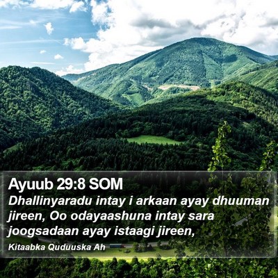 Ayuub 29:8 SOM Bible Verse Image