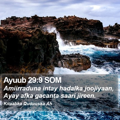 Ayuub 29:9 SOM Bible Verse Image