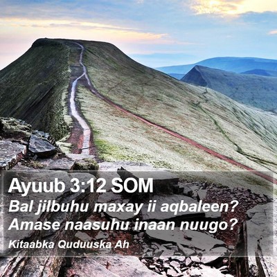 Ayuub 3:12 SOM Bible Verse Image