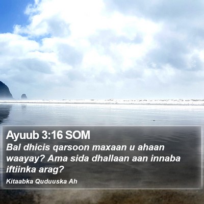 Ayuub 3:16 SOM Bible Verse Image