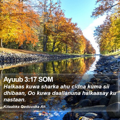 Ayuub 3:17 SOM Bible Verse Image