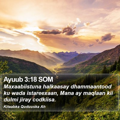 Ayuub 3:18 SOM Bible Verse Image