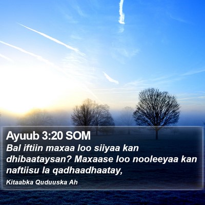 Ayuub 3:20 SOM Bible Verse Image