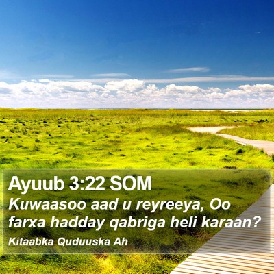 Ayuub 3:22 SOM Bible Verse Image