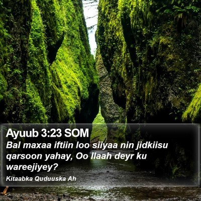 Ayuub 3:23 SOM Bible Verse Image