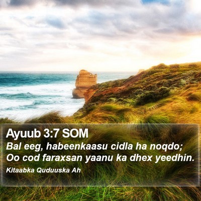 Ayuub 3:7 SOM Bible Verse Image