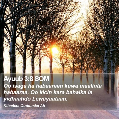 Ayuub 3:8 SOM Bible Verse Image