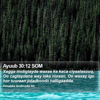 Ayuub 30:12 SOM Bible Verse Image