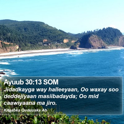 Ayuub 30:13 SOM Bible Verse Image