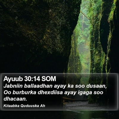 Ayuub 30:14 SOM Bible Verse Image
