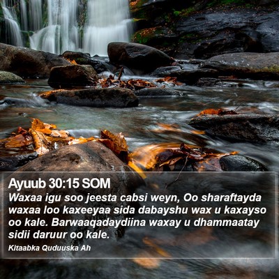Ayuub 30:15 SOM Bible Verse Image