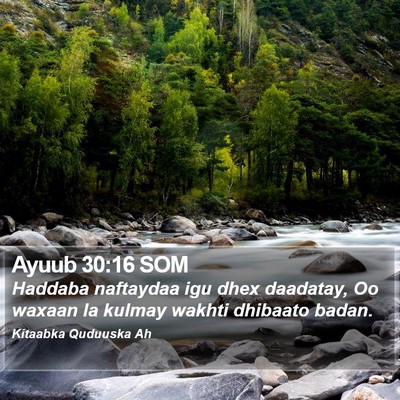 Ayuub 30:16 SOM Bible Verse Image