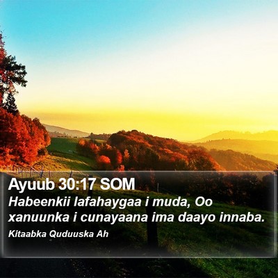 Ayuub 30:17 SOM Bible Verse Image