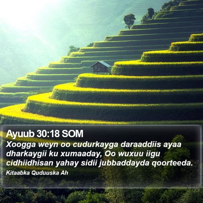 Ayuub 30:18 SOM Bible Verse Image