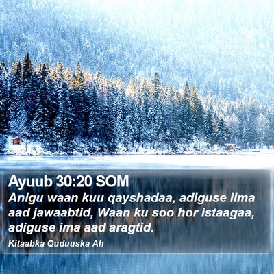 Ayuub 30:20 SOM Bible Verse Image