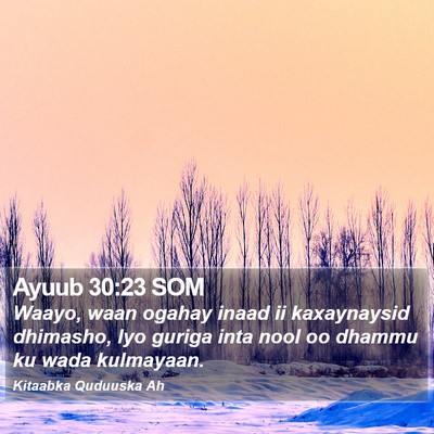 Ayuub 30:23 SOM Bible Verse Image