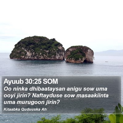 Ayuub 30:25 SOM Bible Verse Image