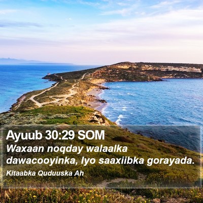 Ayuub 30:29 SOM Bible Verse Image