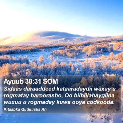 Ayuub 30:31 SOM Bible Verse Image