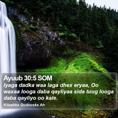 Ayuub 30:5 SOM Bible Verse Image
