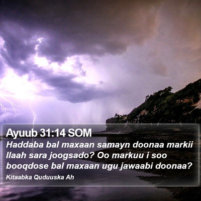 Ayuub 31:14 SOM Bible Verse Image