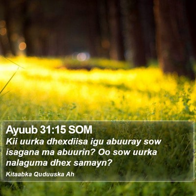 Ayuub 31:15 SOM Bible Verse Image