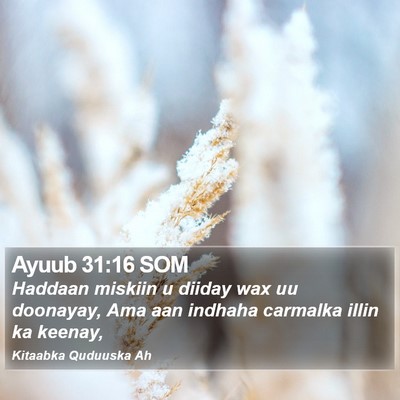 Ayuub 31:16 SOM Bible Verse Image
