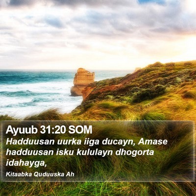 Ayuub 31:20 SOM Bible Verse Image