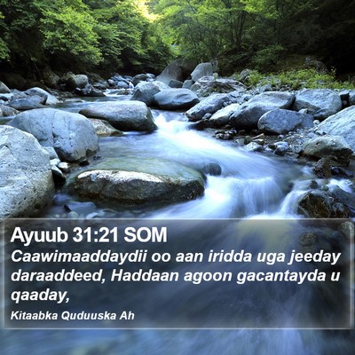 Ayuub 31:21 SOM Bible Verse Image