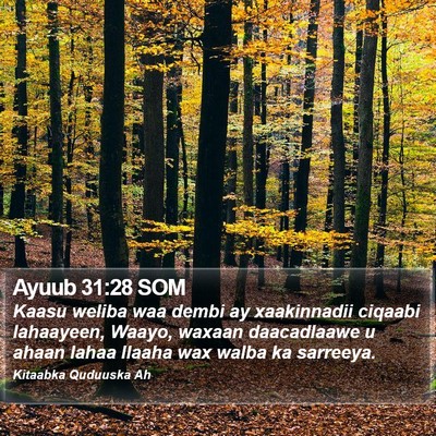 Ayuub 31:28 SOM Bible Verse Image
