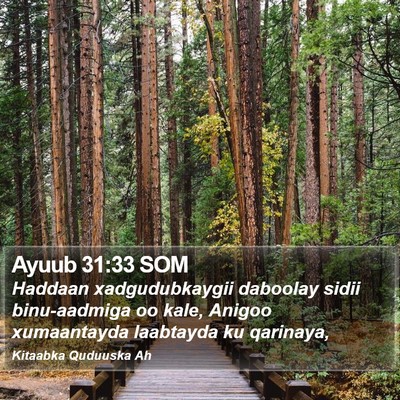 Ayuub 31:33 SOM Bible Verse Image