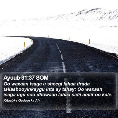 Ayuub 31:37 SOM Bible Verse Image