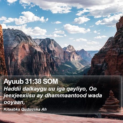 Ayuub 31:38 SOM Bible Verse Image