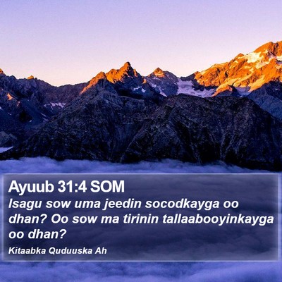 Ayuub 31:4 SOM Bible Verse Image