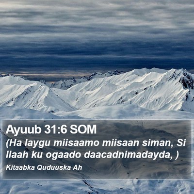 Ayuub 31:6 SOM Bible Verse Image